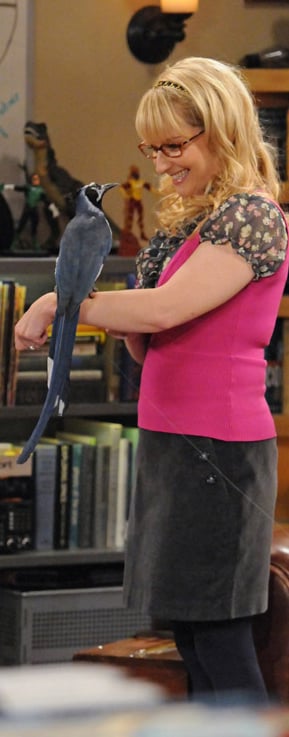 Bernadette's hot pink vest and black skirt on The Big Bang Theory