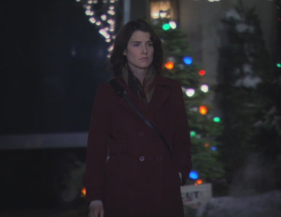 Robin's burgundy coat on How I met your mother