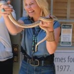 Alex’s blue crop top with jeans on Happy Endings