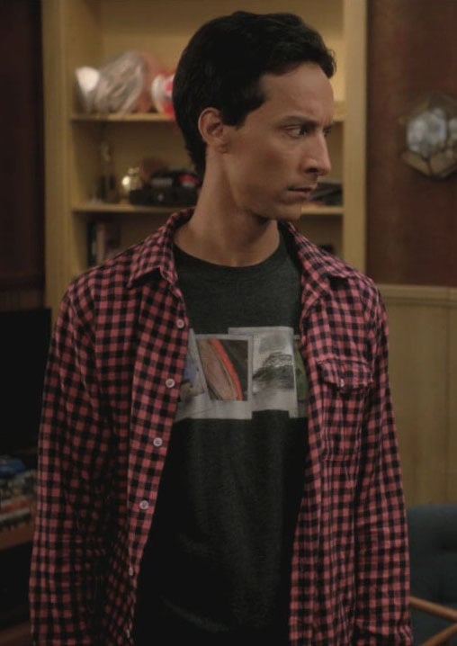 Abed's polaroid shirt on Community