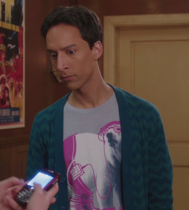 Abed's polar bear shirt on Community