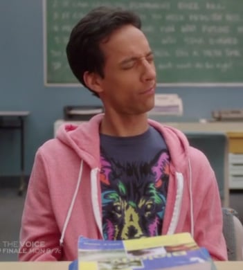 Abed's rainbow wolf shirt on Community