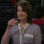 Robin’s grey/mint contrast blouse on How I Met Your Mother