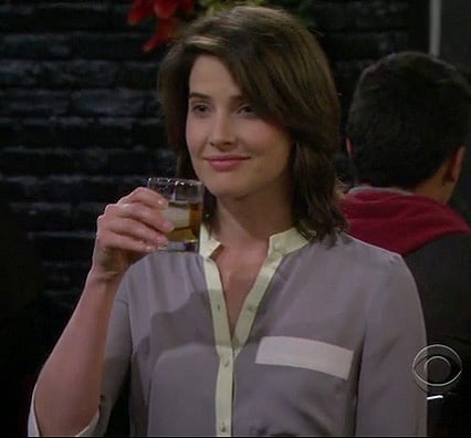 Robin's grey/mint contrast blouse on How I Met Your Mother