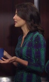 Robin's blue and green snake print wrap dress on How I Met Your Mother