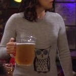 Robin’s grey owl sweater on How I Met Your Mother