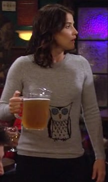 Robin's grey owl sweater on How I Met Your Mother