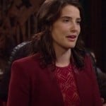 Robin’s red blazer on How I Met Your Mother