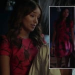 Ashley’s pink and black print dress on Revenge