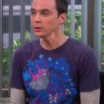 Sheldon’s navy, pink and blue shirt on The Big Bang Theory