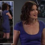 Robin’s blue cap sleeve dress with exposed zip on How I Met Your Mother