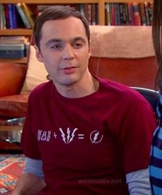 Sheldon’s red “Flash” equation shirt on The Big Bang Theory