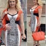 Mel’s leopard print / colorblock dress dress and black and gold t-strap heels on Melissa & Joey