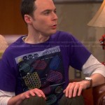 Sheldon’s purple “Nano Tubes” tshirt on The Big Bang Theory
