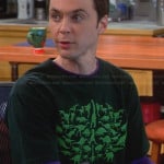 Sheldon’s green dinosaur shirt on The Big Bang Theory