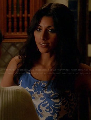 Divya’s blue and white patterned dress on Royal Pains