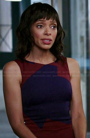 Bones: Season 10 Episode 2 Camille's Black & Blue Dress