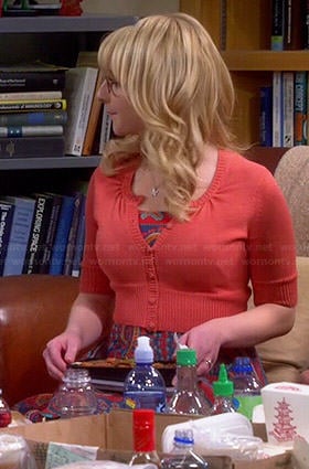 Bernadette's multicolored paisley dress on The Big Bang Theory