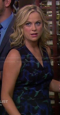 Leslie's navy and green patterned v-neck dress on Parks and Recreation