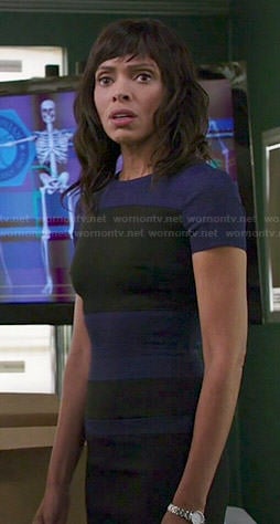 Bones: Season 10 Episode 2 Camille's Black & Blue Dress