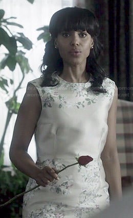 Olivia’s champagne floral dress on Scandal