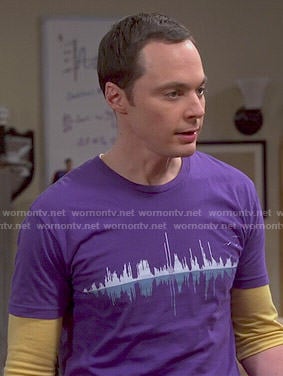 sheldon sound wave shirt meaning