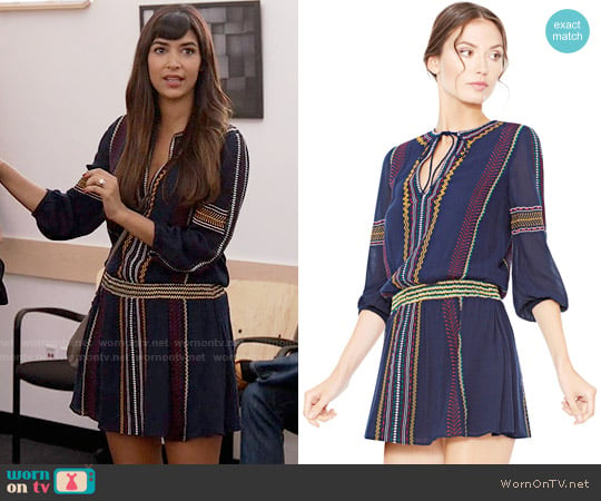 Alice + Olivia Jolene Dress worn by Cece Parekh (Hannah Simone) on New Girl