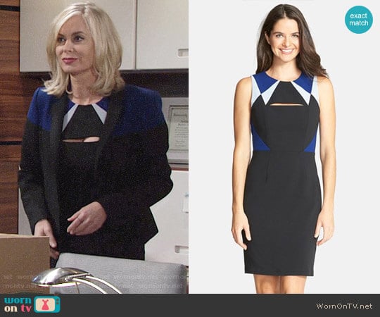 Bcbgmaxazria Karin Dress worn by Ashley Abbott (Eileen Davidson) on The Young and the Restless