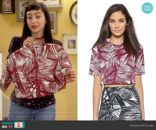 Elizabeth and James Lowell Top worn by Mandy Baxter ( Molly Ephraim) on Last Man Standing