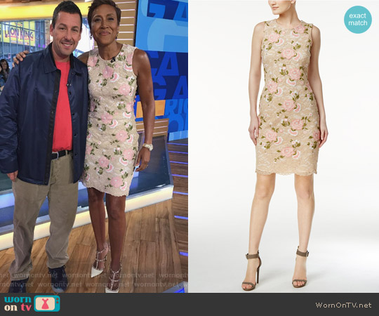 Embroidered Lace Sheath Dress by Calvin Klein worn by Robin Roberts on Good Morning America