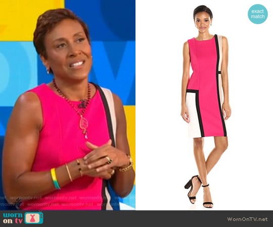 Sleeveless Round Neck Color Block Sheath Dress by Calvin Klein worn by Robin Roberts on Good Morning America