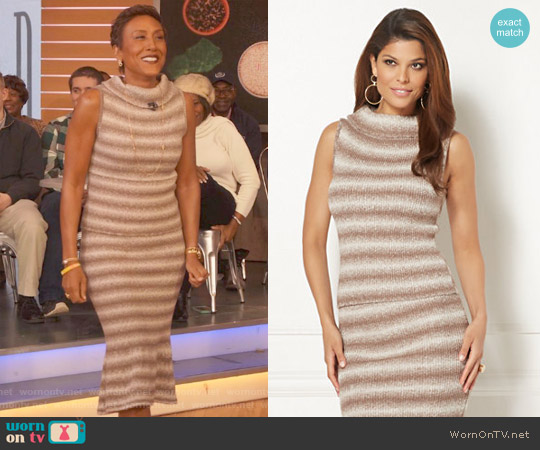Eva Mendes Collection Luana Stripe Sleeveless Sweater by New York & Company worn by Robin Roberts on Good Morning America