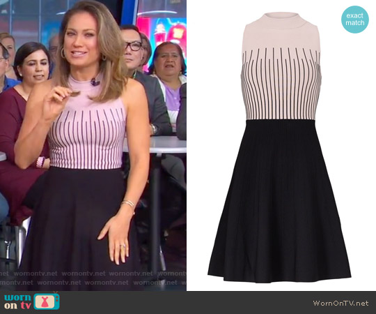 Pink Stripe Flare Dress by Milly worn by Ginger Zee on Good Morning America