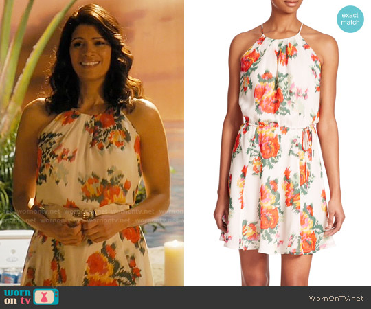 Joie Makana Dress worn by Xiomara Villanueva (Andrea Navedo) on Jane the Virgin