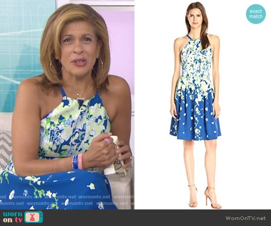 Garden Party Placed Floral Print Dress by Adrianna Papell worn by Hoda Kotb on Today