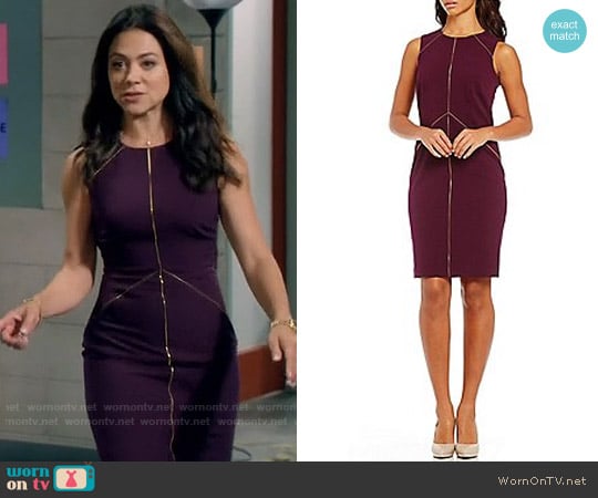 Calvin Klein Zipper Detail Lux Sheath Dress worn by Nina Sandoval (Camille Guaty) on Daytime Divas