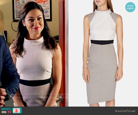 Karen Millen Stretch Ottoman Color Block Dress worn by Nina Sandoval (Camille Guaty) on Daytime Divas