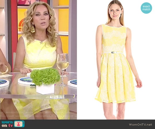 Fit and Flare Lace Dress by Adrianna Papell worn by Kathie Lee Gifford on Today