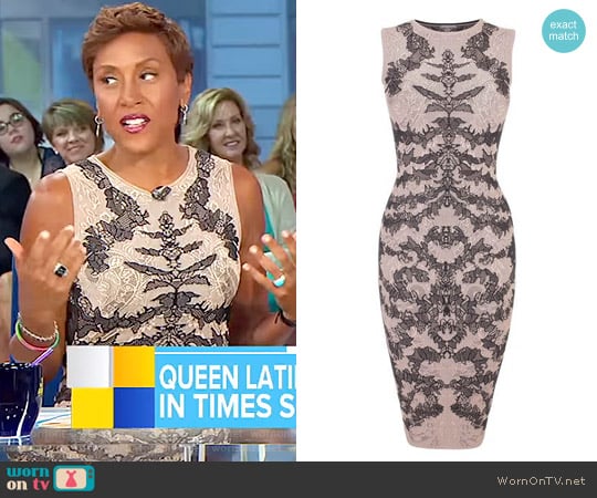 Bi-Colour Spine Lace Jacquard Pencil Dress by Alexander Mcqueen worn by Robin Roberts on Good Morning America