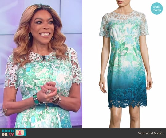 Laced Organdy Mini Dress by Elie Tahari worn by Wendy Williams  on The Wendy Williams Show