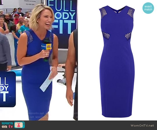 Lace Panel Pencil Dress by Karen Millen worn by Amy Robach on Good Morning America