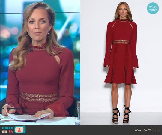 Azzedine Dress by Ministry Of Style worn by Carrie Bickmore on The Project