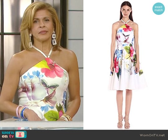 'Corpina' Floral Print Dress by Ted Baker worn by Hoda Kotb on Today