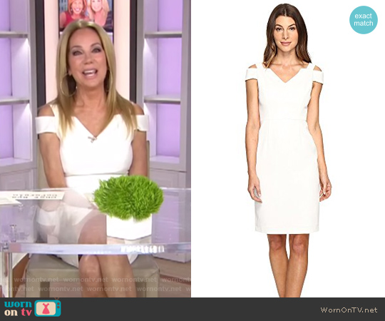 Cold Shoulder Fitted Sheath by Adrianna Papell worn by Kathie Lee Gifford on Today