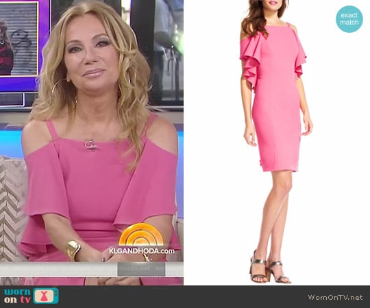 Cold-Shoulder Sheath Dress by Adrianna Papell worn by Kathie Lee Gifford on Today