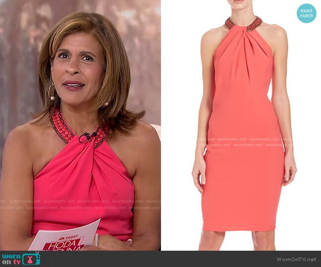 Beaded Neck Toga Dress by Carmen Marc Valvo worn by Hoda Kotb on Today