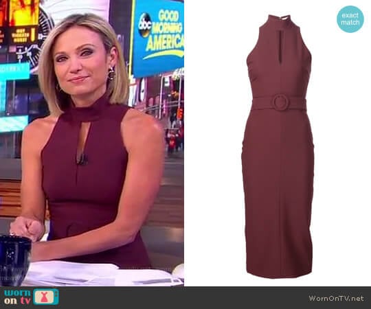 'Juniper' Midi Dress by Cinq a Sept worn by Amy Robach on Good Morning America