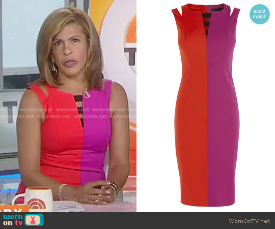 Dress: Two Tone Pencil Dress by Karen Millen worn by Hoda Kotb on Today