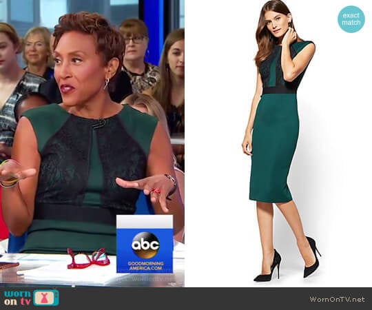 Lace Detail Sheath Dress by New York & Company worn by Robin Roberts on Good Morning America