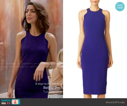 Cushnie et Ochs Dina Sheath worn by Delia (Necar Zadegan) on Girlfriends Guide to Divorce